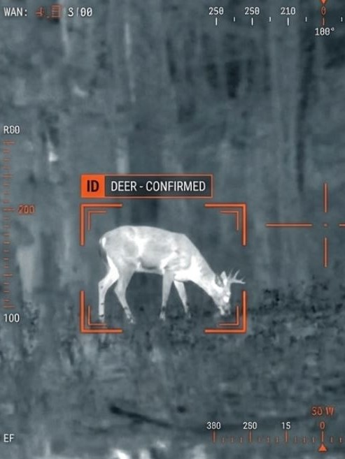 Night vision image of a deer identified and confirmed, showcasing advanced wildlife tracking technology.